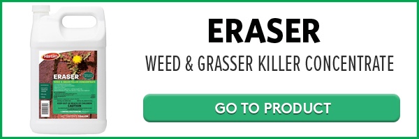 What's the Difference Between Nullify and Eraser