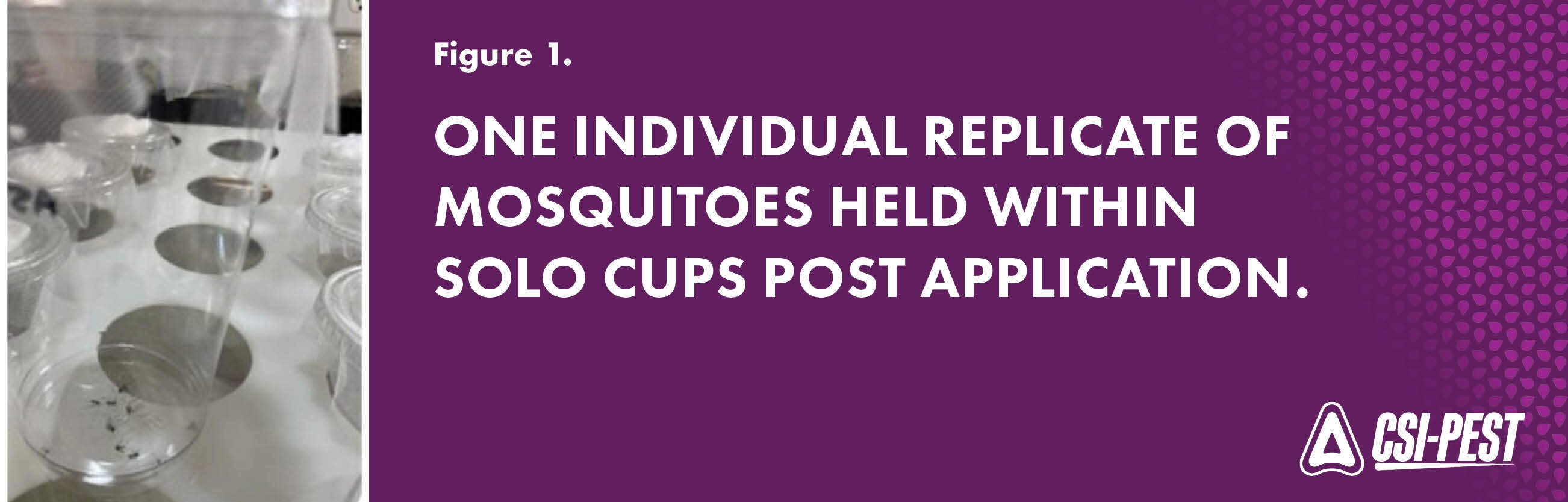 figure 1 solo cup mosquitoes.CTA