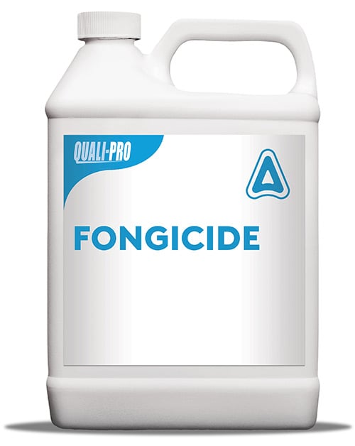 1-gallon-jug-Fungicide-FRENCH