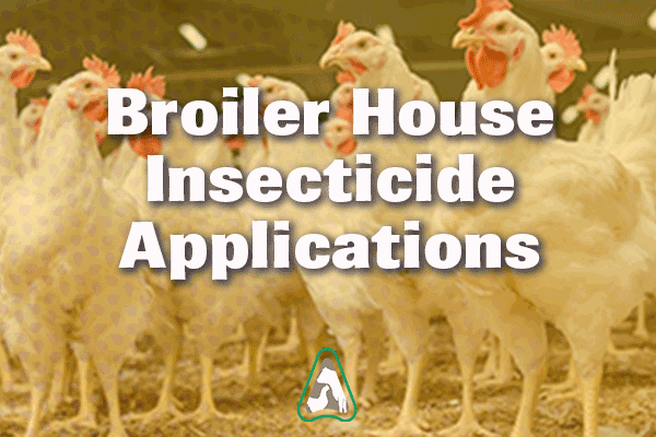 Banner_CSI-Poultry