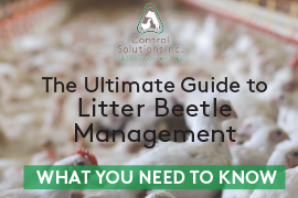 The_Ultimate_Guide_to_-Litter_Beetle_Management