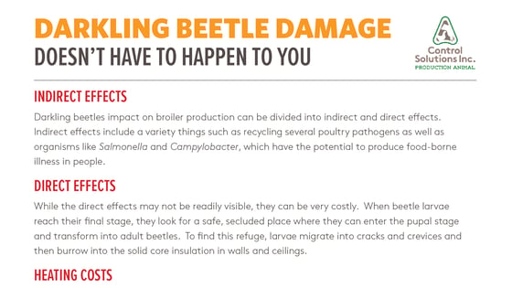TB-CSI-PA-Darkling-Beetle-Damage