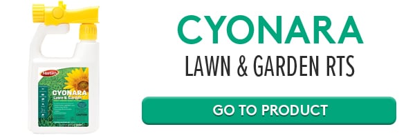 CTA CYONARARTS