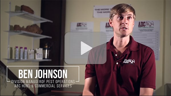 2018---ABC-Home-and-Commercial-Services-screenshot