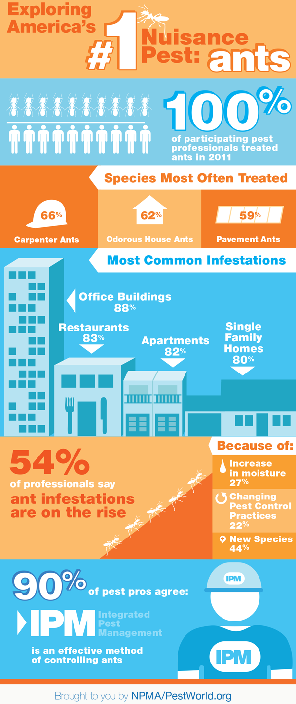 ANTS_infographic_NPMA_BLOG