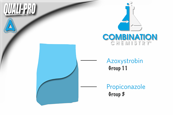 Strobe Pro G Active Ingredients