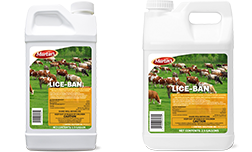 Lice-Ban Jugs