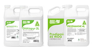 Dithipyr and Prodiamine Products