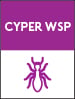 cyper-wsp-additional-detailer