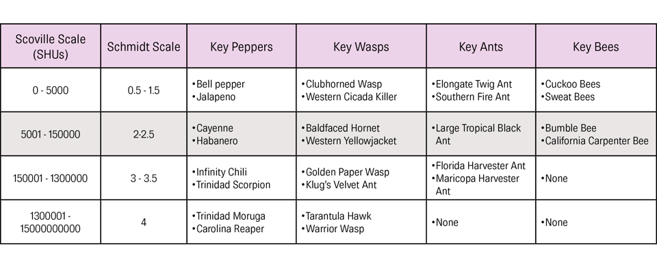 chart for blog-updated