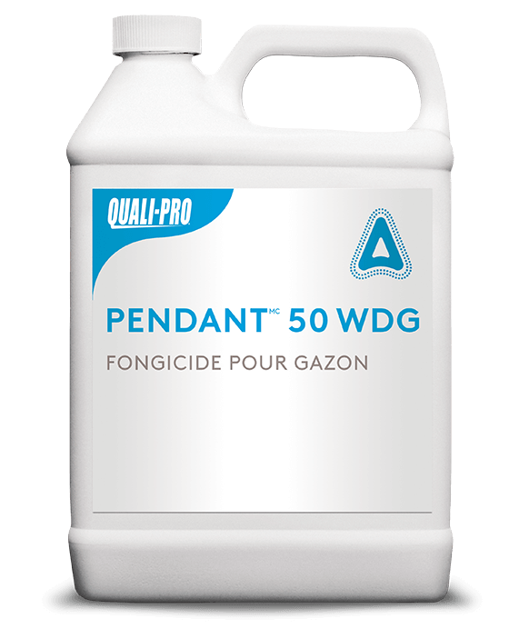 https://4028833.fs1.hubspotusercontent-na1.net/hubfs/4028833/jug_Pendant50WDG_FR_2022.png