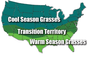 Region_Grass_Map.png