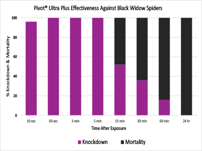 blackwidow_spider_graph