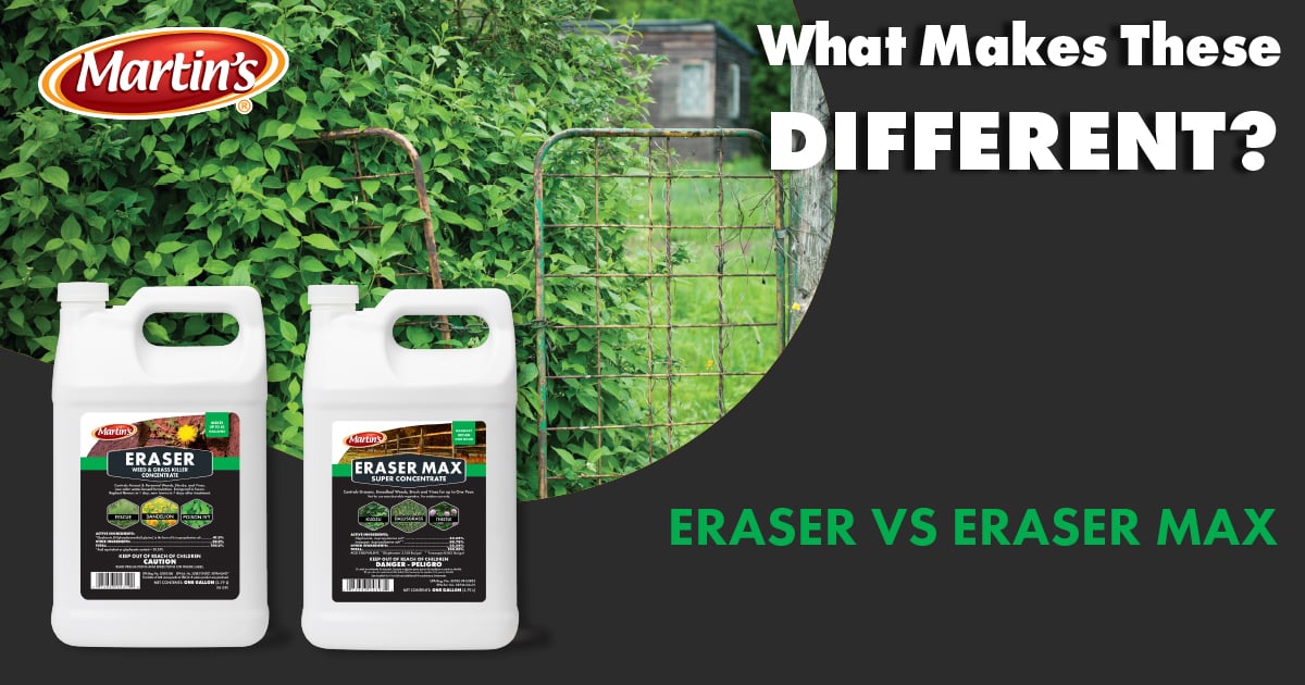 The Difference Between Eraser and Eraser Max