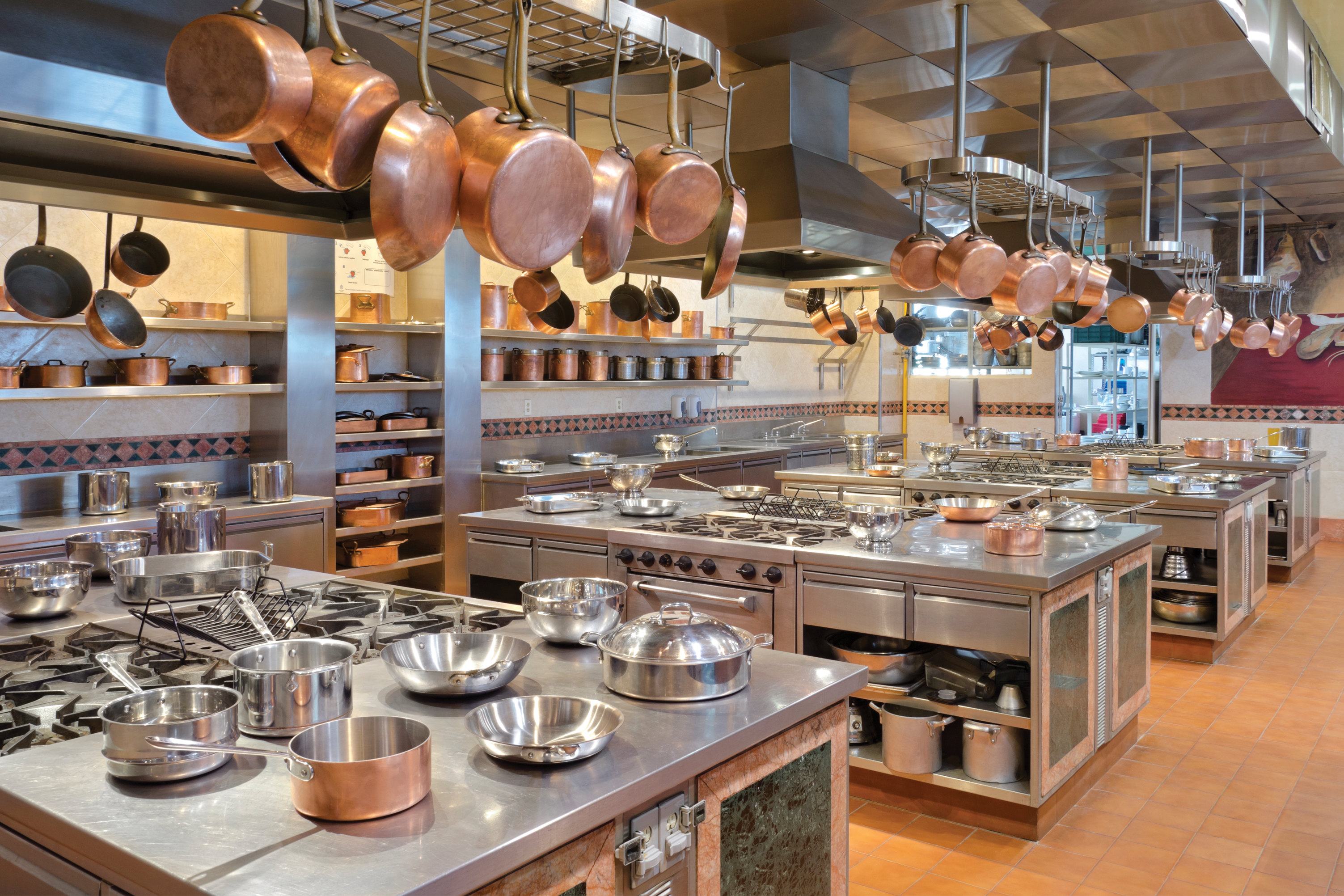 Control Small Flies in Commercial Kitchens