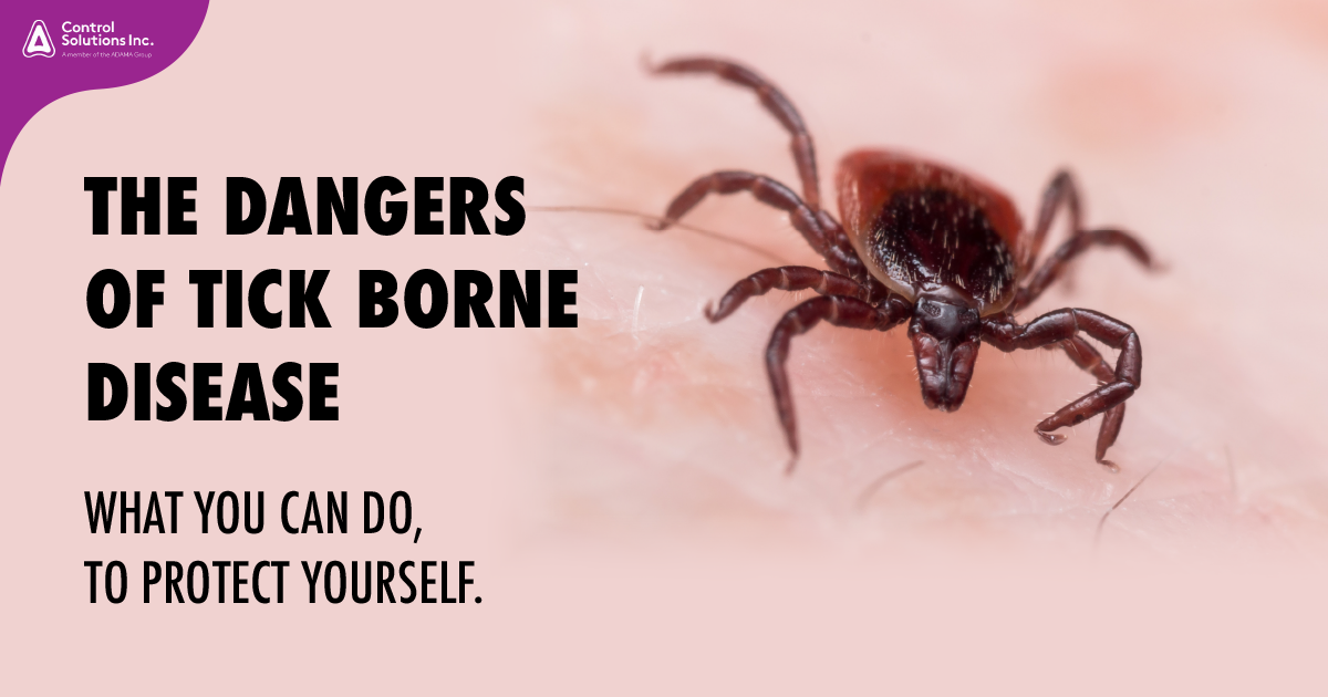 jackson lab tick borne disease doxy jackson lab tick borne disease doxy